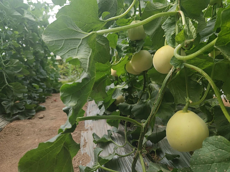 微信图片_20210510180758.jpg 微信图片_20210510180758.jpg