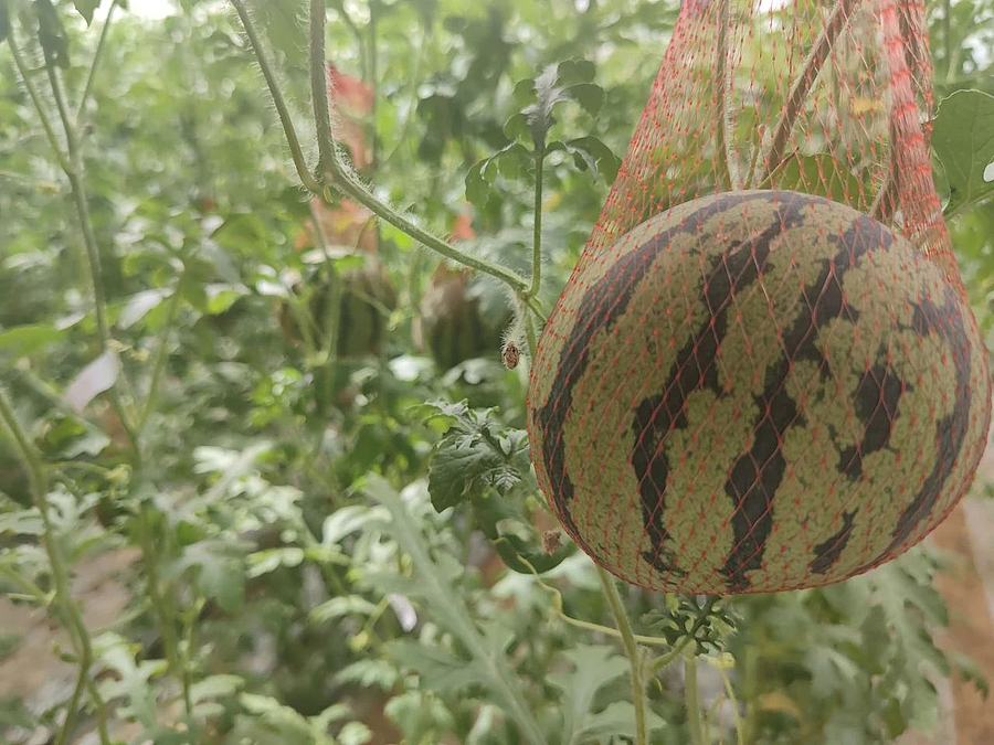 微信图片_20210510180800.jpg 微信图片_20210510180800.jpg