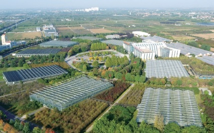 杨凌:强化使命担当 交好“上合答卷” 杨凌:强化使命担当 交好“上合答卷”