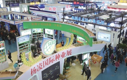 杨凌:强化使命担当 交好“上合答卷” 杨凌:强化使命担当 交好“上合答卷”