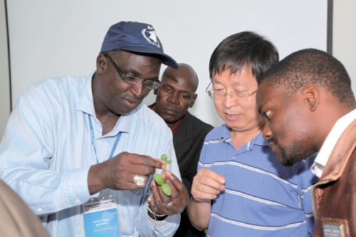 杨凌:强化使命担当 交好“上合答卷” 杨凌:强化使命担当 交好“上合答卷”