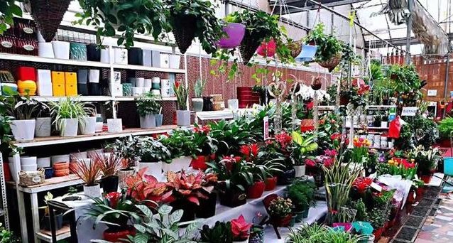 e2d9101fd.jpg e2d9101fd.jpg