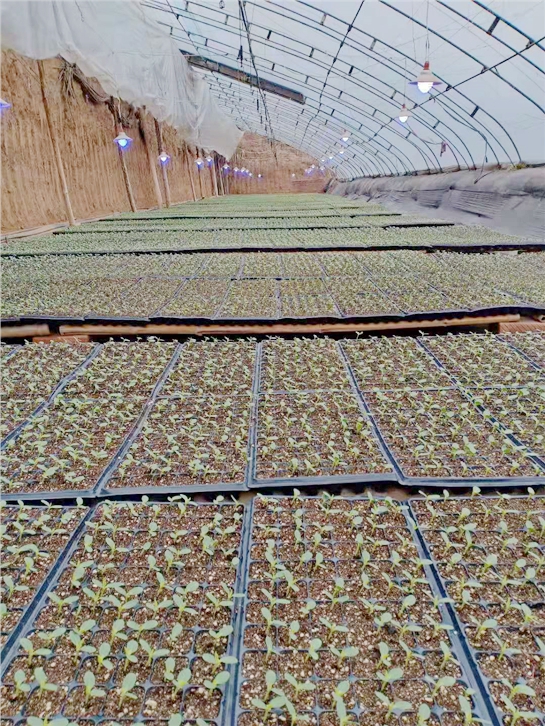 微信图片_20190307150516.jpg 微信图片_20190307150516.jpg