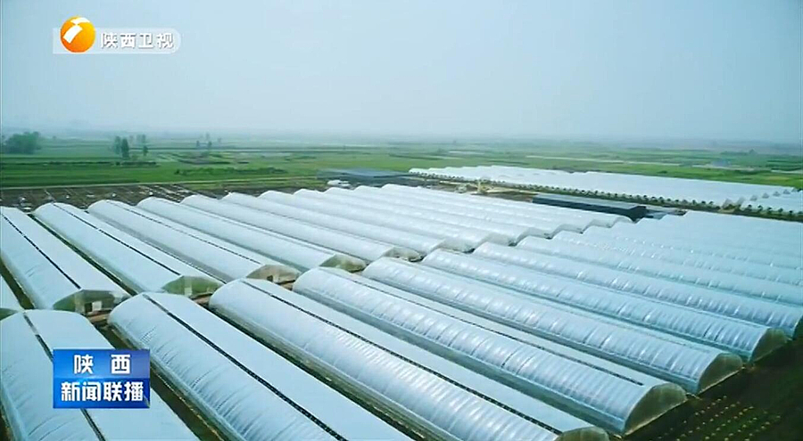 QQ截图20190325201408.jpg QQ截图20190325201408.jpg