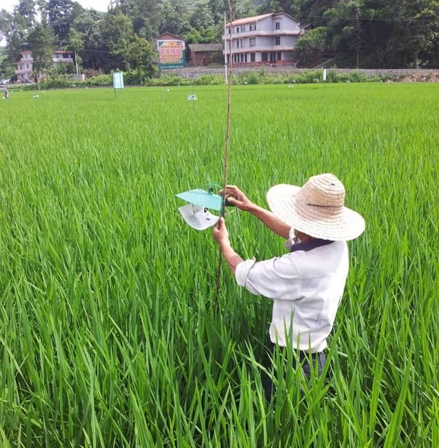 t0131da936ca0a673b9.jpg t0131da936ca0a673b9.jpg