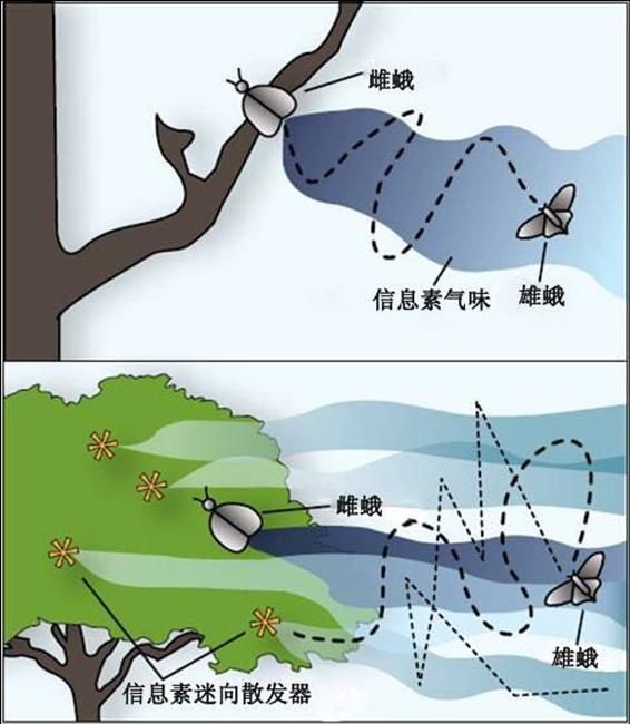 t016cf46d9ab25e06a5.jpg t016cf46d9ab25e06a5.jpg