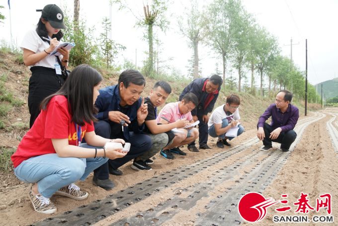 三秦2.jpg 三秦2.jpg