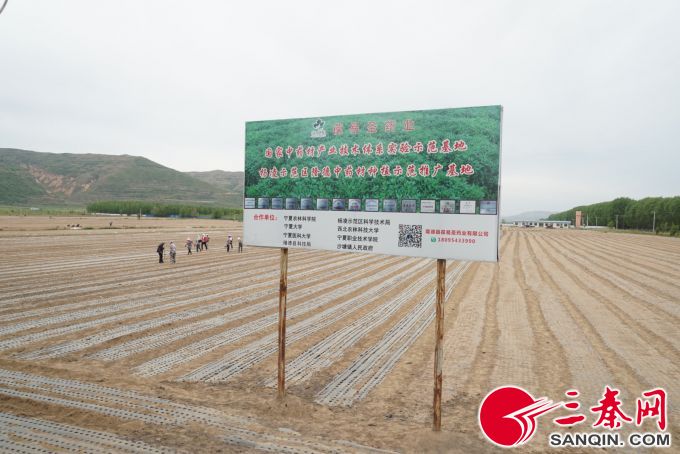 三秦3.jpg 三秦3.jpg