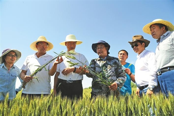 奋斗1.jpg 奋斗1.jpg