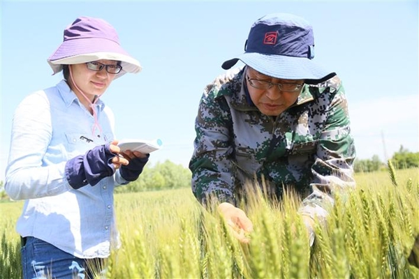 奋斗2.jpg 奋斗2.jpg