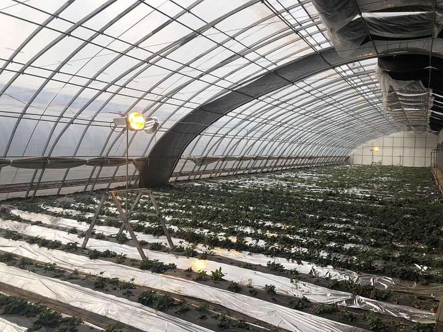 微信图片_20200306151208.jpg 微信图片_20200306151208.jpg