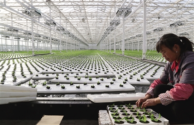 大棚.jpg 大棚.jpg