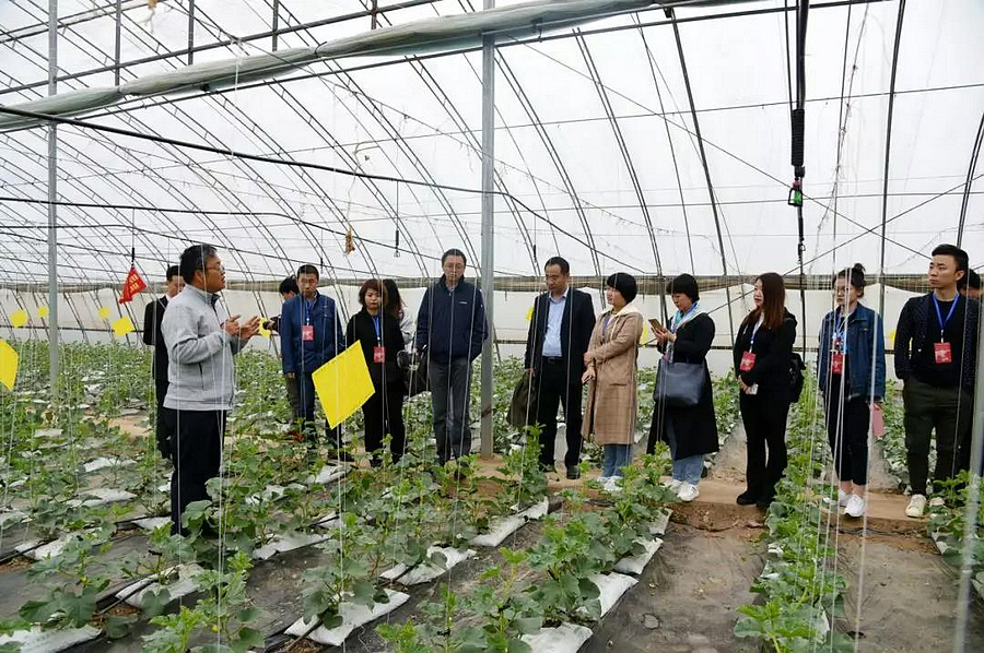 微信图片_20190410202930.jpg 微信图片_20190410202930.jpg