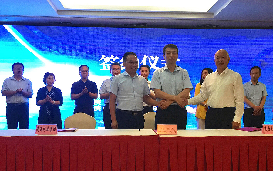 林业2.jpg 林业2.jpg