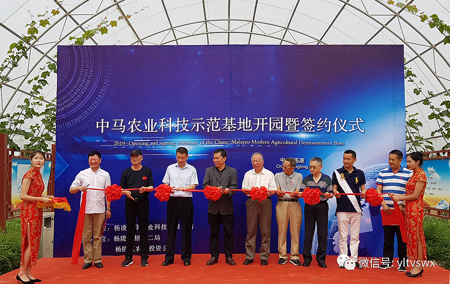 微信图片_20190627163202.jpg 微信图片_20190627163202.jpg