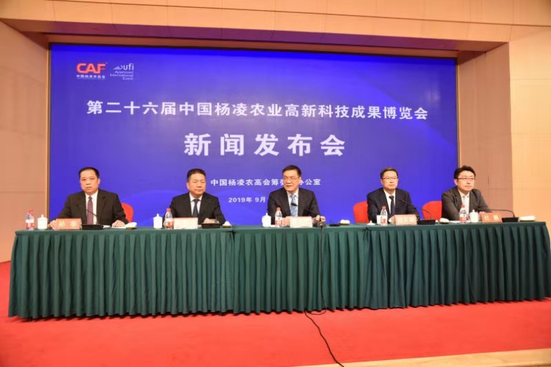 201909067775ud63u3.jpg 201909067775ud63u3.jpg