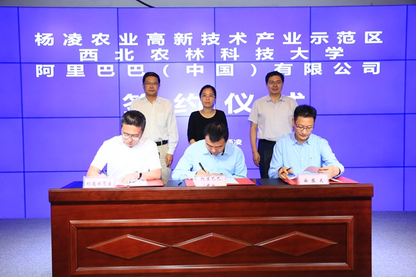 20190916144806208210.jpg 20190916144806208210.jpg