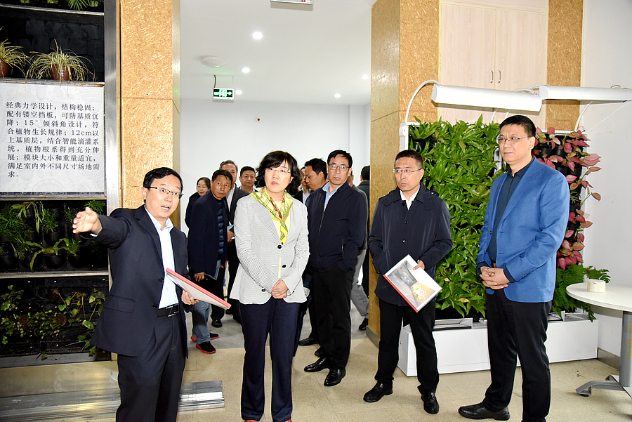 李婧1.jpg 李婧1.jpg