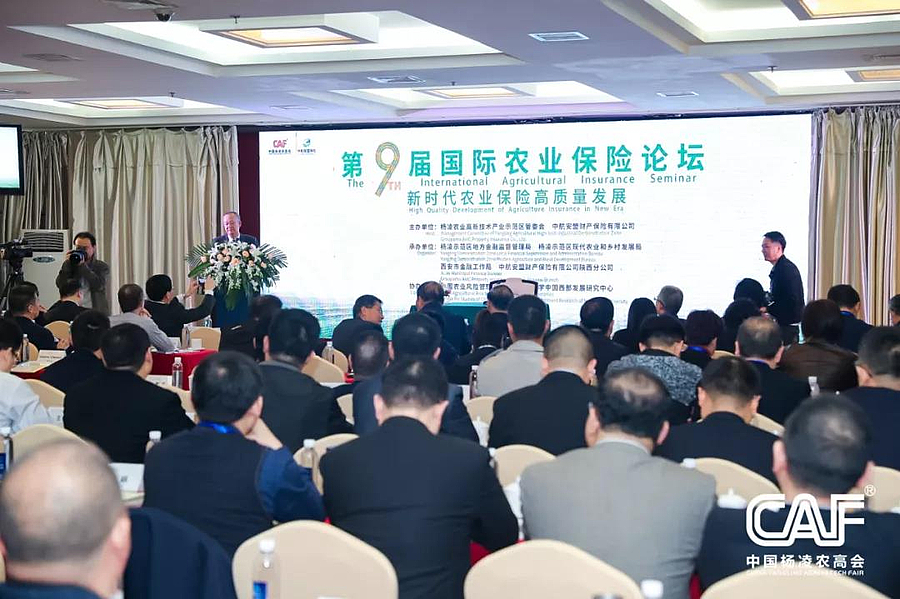 保险1.jpg 保险1.jpg