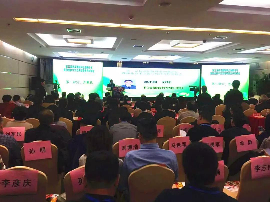 种业创新.jpg 种业创新.jpg