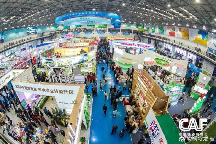 微信图片_20191026210554.jpg 微信图片_20191026210554.jpg