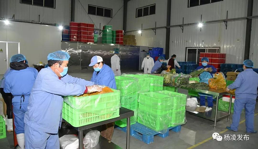 微信图片_20200205095122.jpg 微信图片_20200205095122.jpg