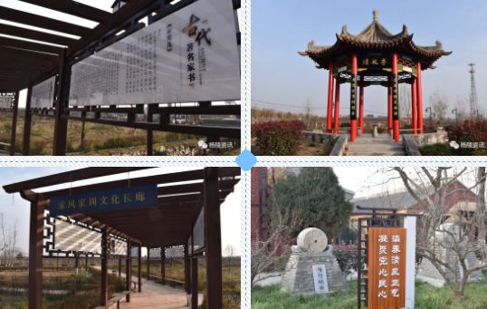 20204171587086747996_1318.jpg 20204171587086747996_1318.jpg