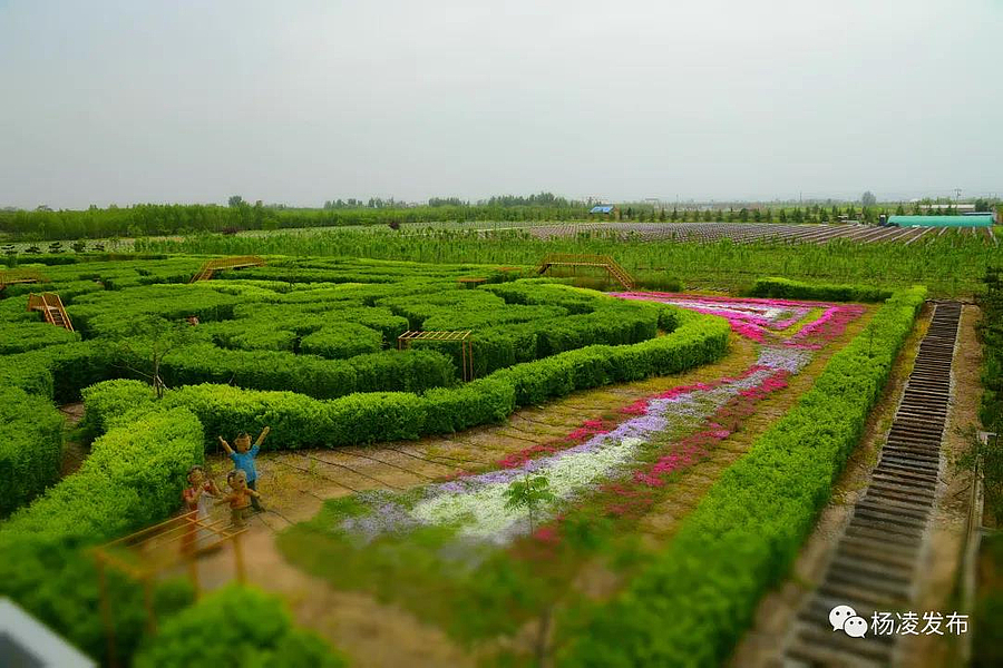 微信图片_20200424092812.jpg 微信图片_20200424092812.jpg