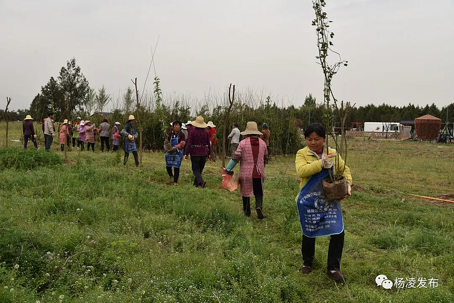 微信图片_20200424092815.jpg 微信图片_20200424092815.jpg