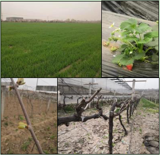 1616060154(1).jpg 1616060154(1).jpg