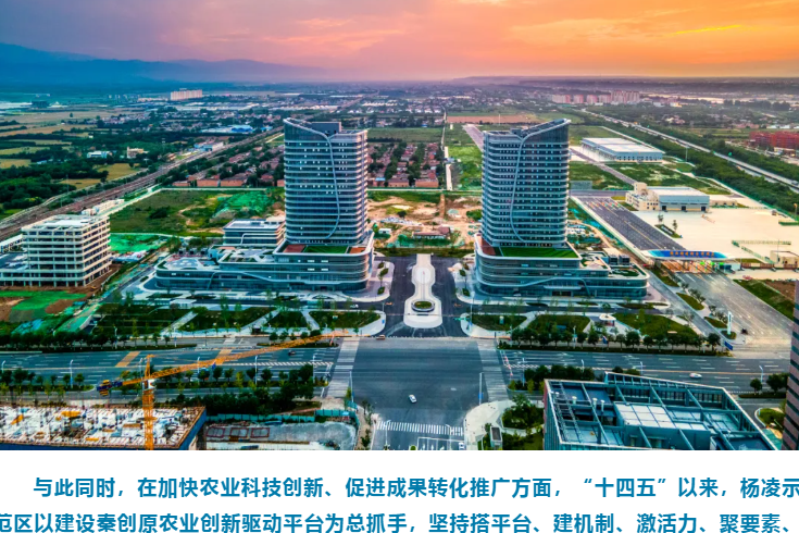 “农”墨重彩！“十四五”期间，杨凌交出亮眼成绩单
