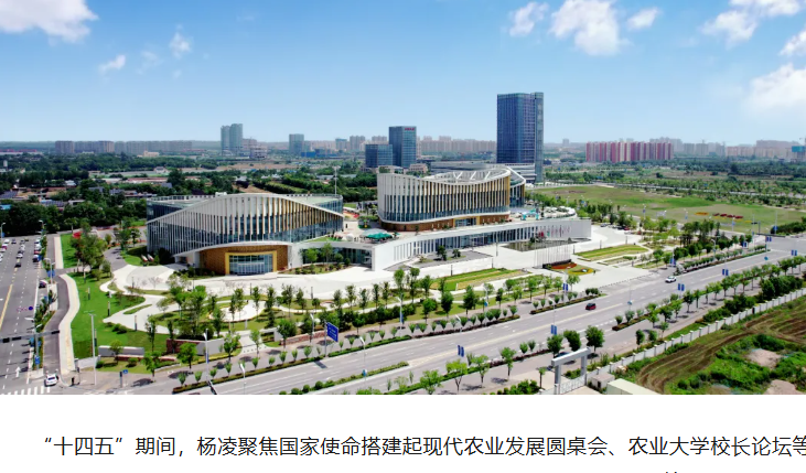 打造农业对外开放的“金色名片” | 非凡“十四五” · 杨凌这五年