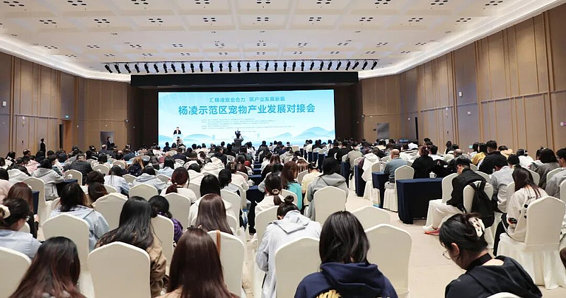 杨凌示范区宠物产业发展对接会举办