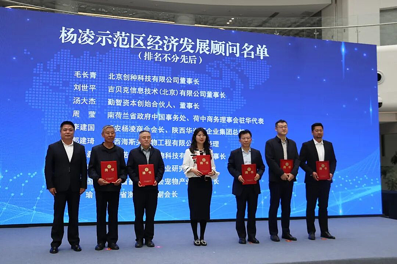 枝繁巢暖引凤来 招商引资开新局